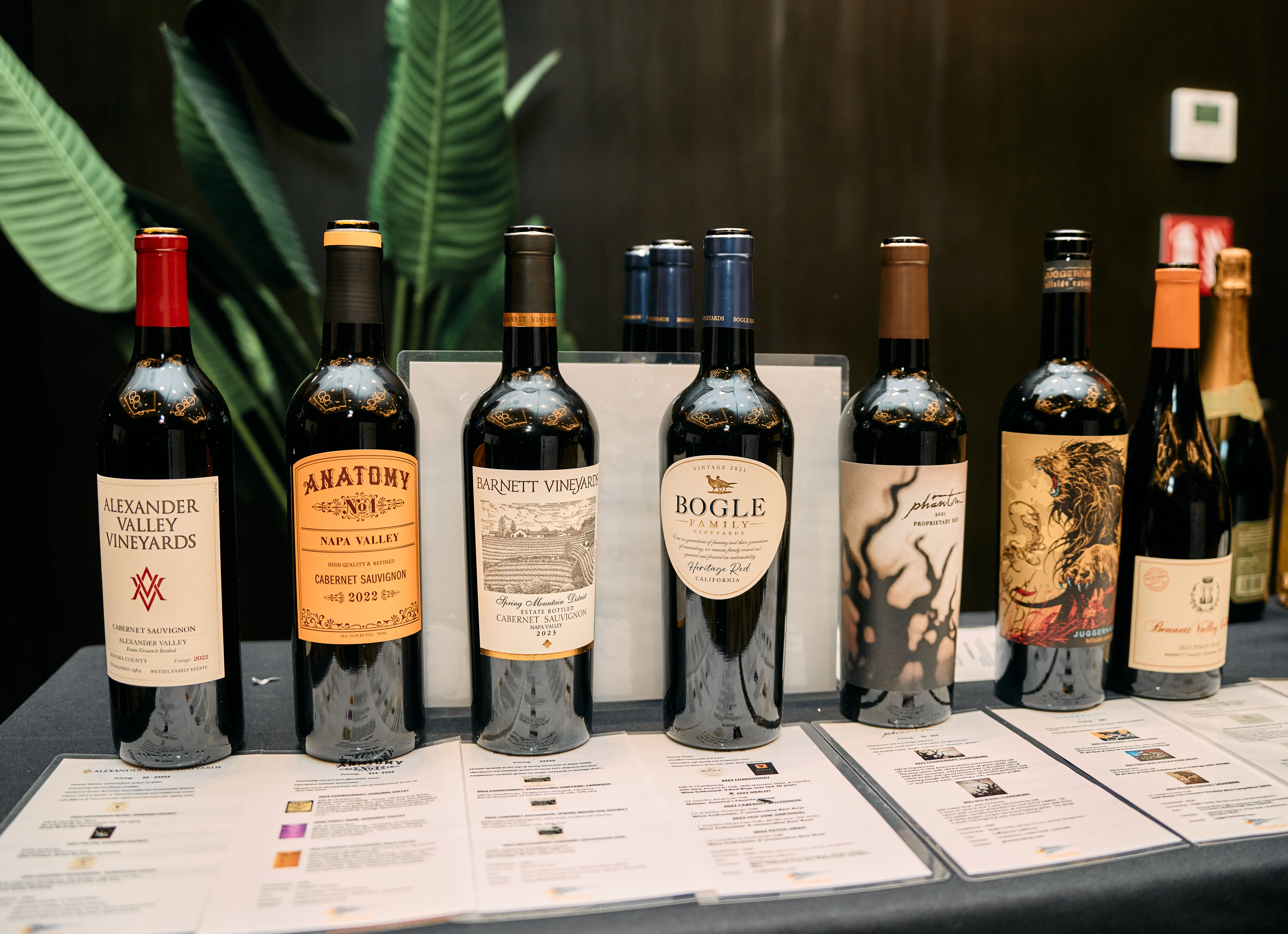 Stringent Gallery Image 19