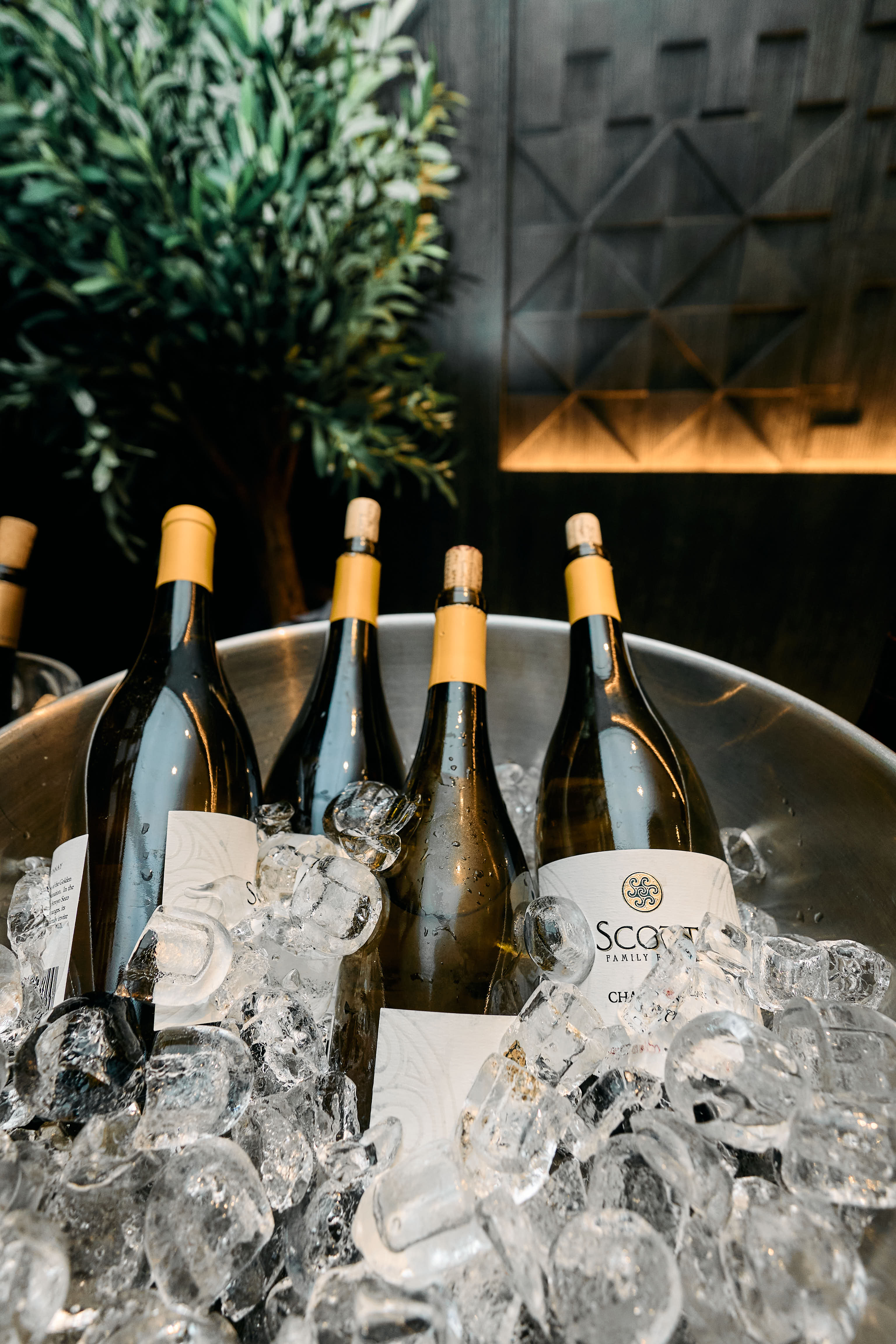 Stringent Gallery Image 37